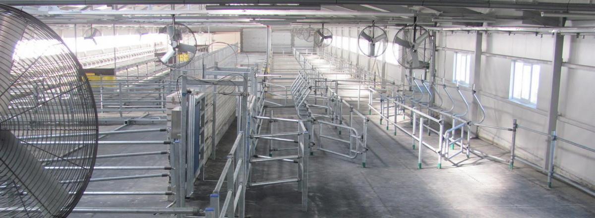 Оборудование для животноводческих ферм и комплексов