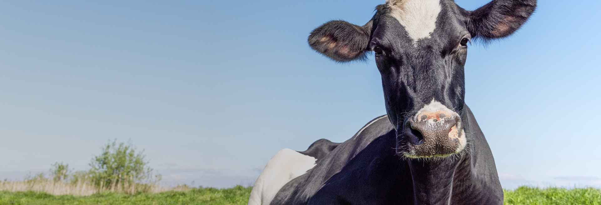 Резиновые покрытия