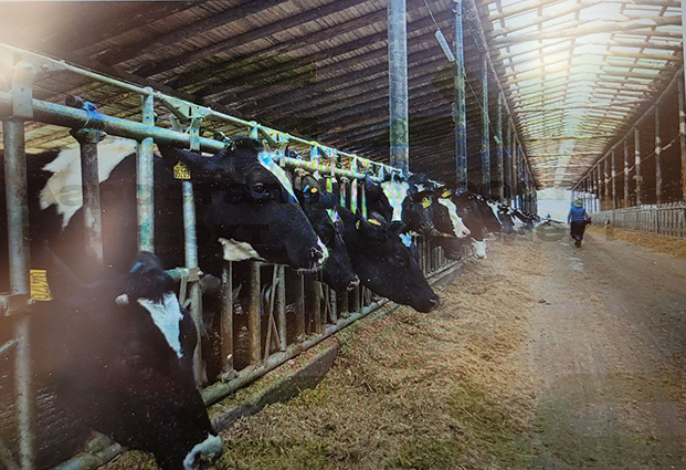 Агросталь-Комплект